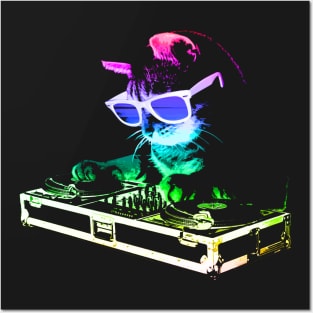 HOUSE CAT (Rainbow DJ Kitty) Posters and Art